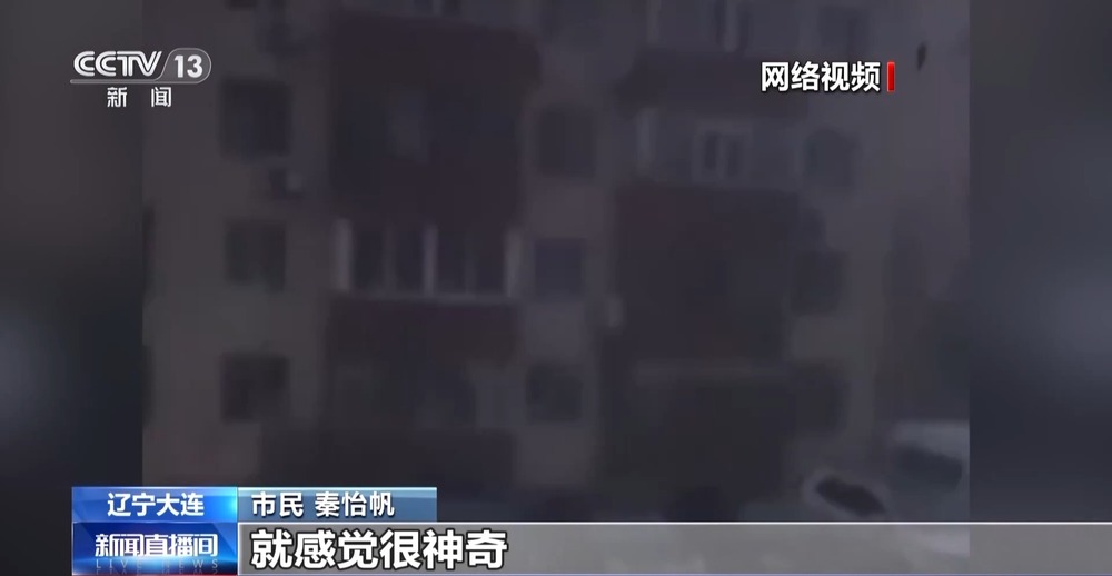 大连一夜发生7649次闪电 遇到雷电要记住这四个字→